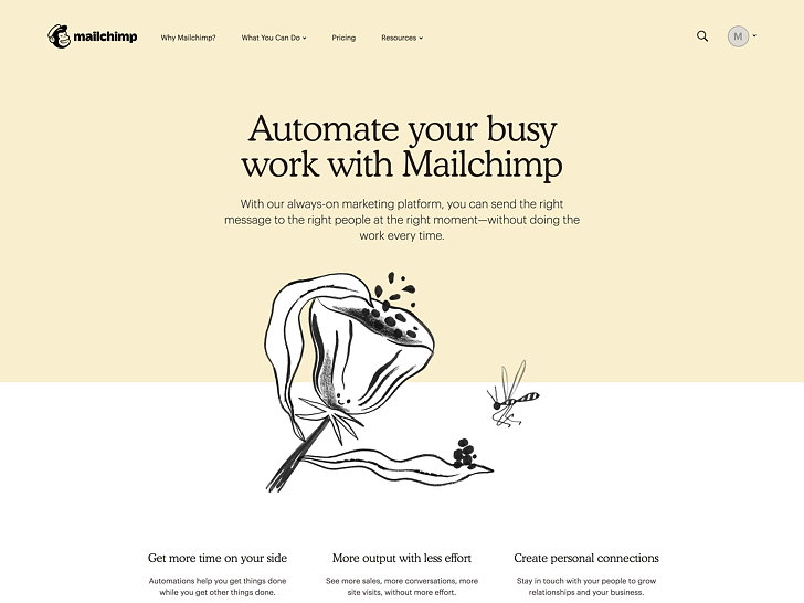  Mailchimp 04 