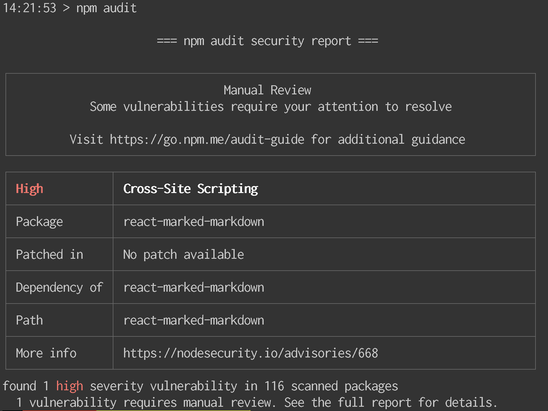 npm аудиторский отчет