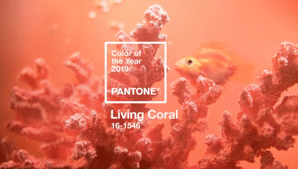  Pantone 2019 Color of the Year Living Coral "width =" 600 "height =" 341 "> 

<p class=