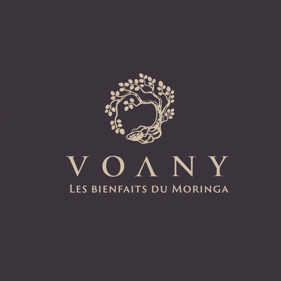  Классический дизайн логотипа для Voany 