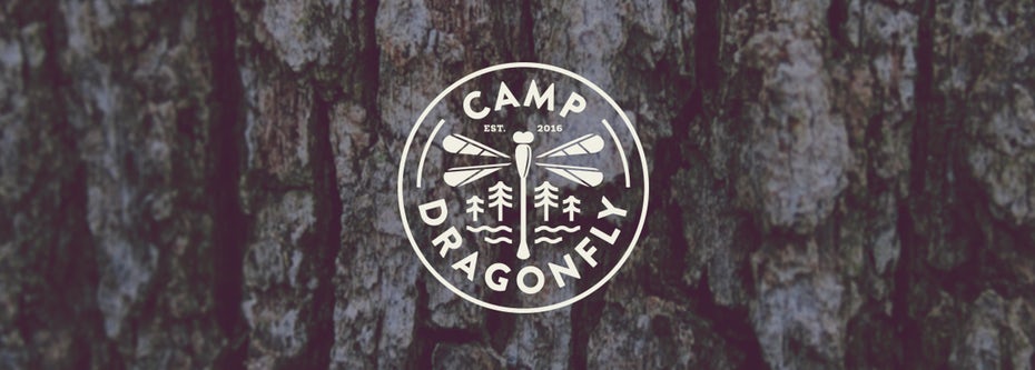  Дизайн логотипа лагеря со стрекозой "width =" 1233 "height =" 442 