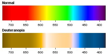  Спектр дальтоников - width =" 367 "height =" 192 "/ > </noscript></p>
<p style=