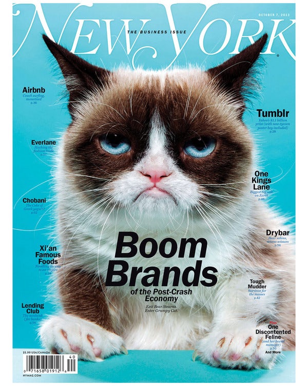  Обложка нью-йоркского журнала с изображением сварливого кота 