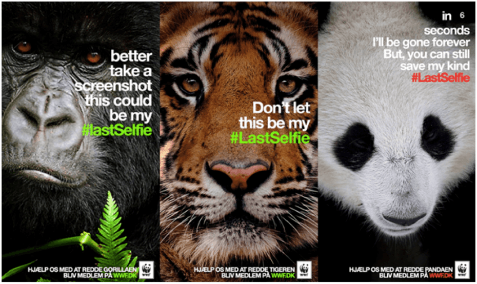  Кампания WWF с участием гориллы, тигра и панды "width =" 975 "height =" 581 "/> 
 
<figcaption> Через WWF </figcaption></figure>
<p> Как только у вас появится набросайте элементарные идеи, протестируйте их. Работайте со своей командой и людьми из целевой аудитории, чтобы определить, вызывают ли идеи, которые вы изучаете, те ответы, которые вам нужны. Когда вы планируете маркетинговую кампанию, вирусную или иную, такого рода данных — это золото. Это данные, которые вы будете использовать для уточнения и преобразования ваших идей в полностью работоспособные кампании. </p>
<h2><span id=