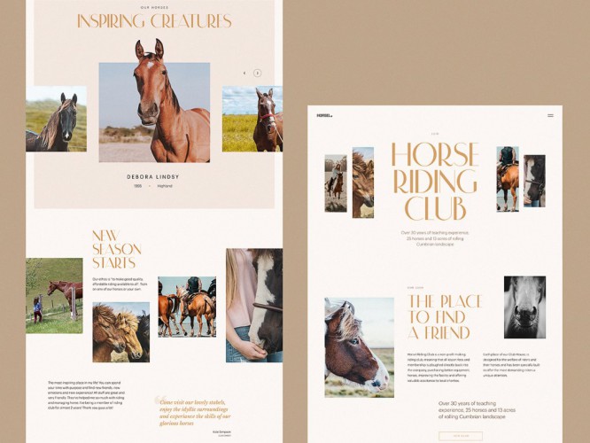 horse-riding-club-website-tubik-1024x768