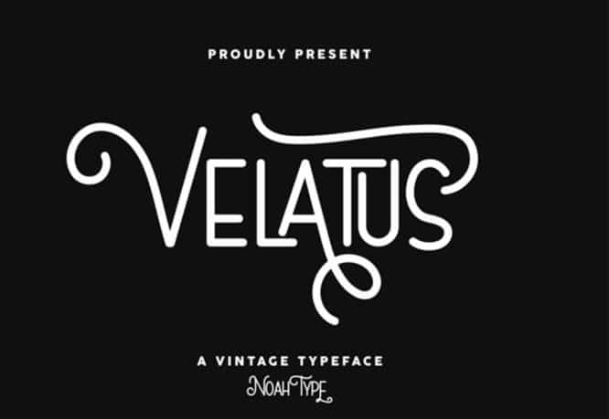 velatus-1024x706