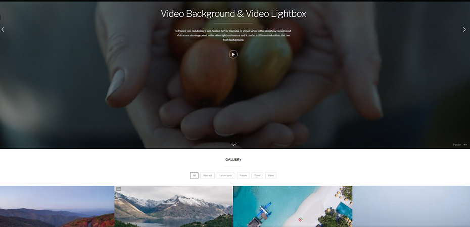 Inspiro screenshot" width="1600" height="772"/>
 
<figcaption>Via WPZoom</figcaption></figure>
<p>If you’re planning on hosting or embedding videos on your website, you need to check out Inspiro. It’s super easy to integrate Youtube and Vimeo videos to your website as well as host your own. Inspiro also comes with an eye-catching gallery module that makes it easy to display your videos, thumbnail by thumbnail, as an engaging visual library.</p>
<h4><span id=
