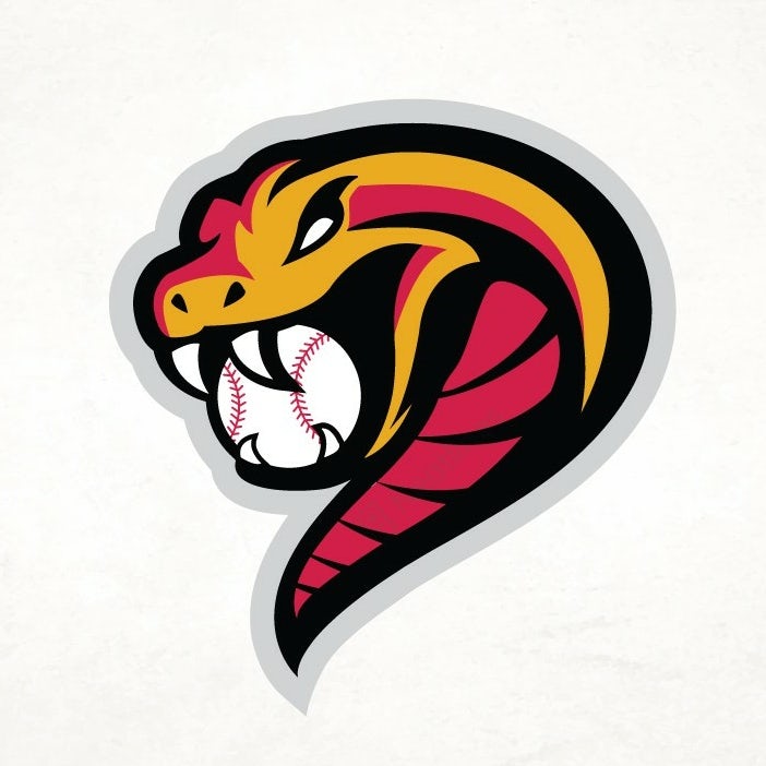  логотип бейсбола в виде змеи "width =" 702 "height =" 702 