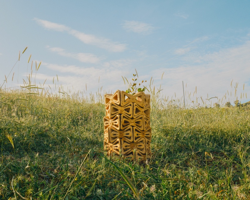 Buried Souvenir Shop в Японии переосмысляет типологию сувенирной лавки