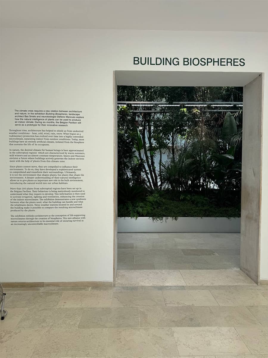 Чем запомнилась Венецианская архитектурная биеннале 2025: дневники Анны Сысоевой