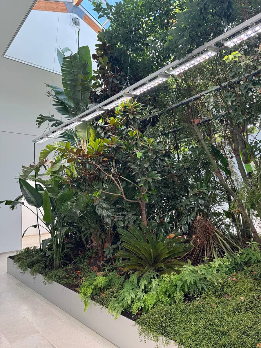 Чем запомнилась Венецианская архитектурная биеннале 2025: дневники Анны Сысоевой