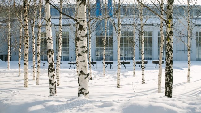 Самое интересное из мира дизайна и искусства: дайджест на новогодние